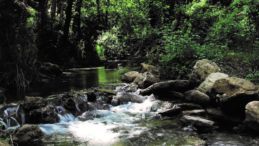 Natural y espontáneo